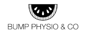1x1 Impression SEO 1 bump-physio-logo1