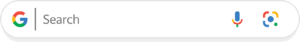 1x1 Impression SEO 25 google-search-box